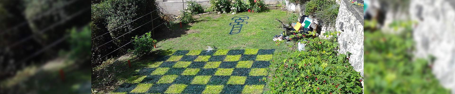 Jeux au jardin, échecs, damiers, twister, surprise enfants